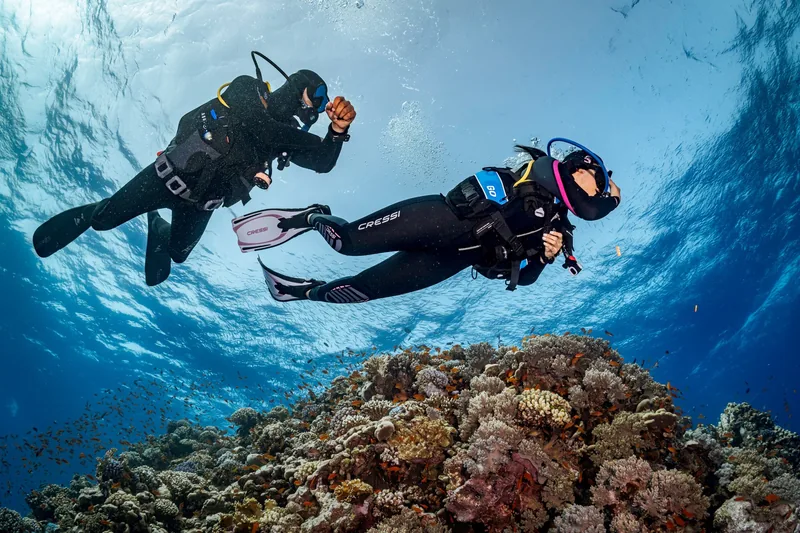 Dos buceadores a contraluz sobre un arrecife con rayos de sol atravesando el agua