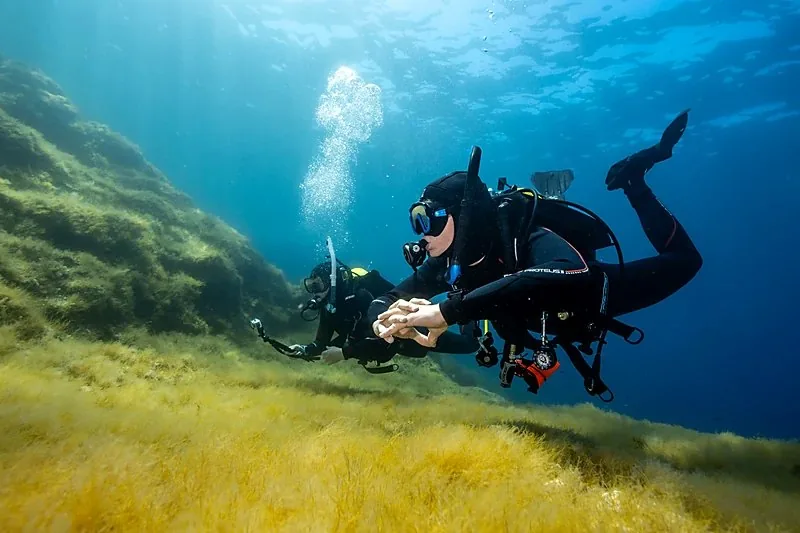 Instructor enseña una destreza a un alumno sobre un fondo de algas