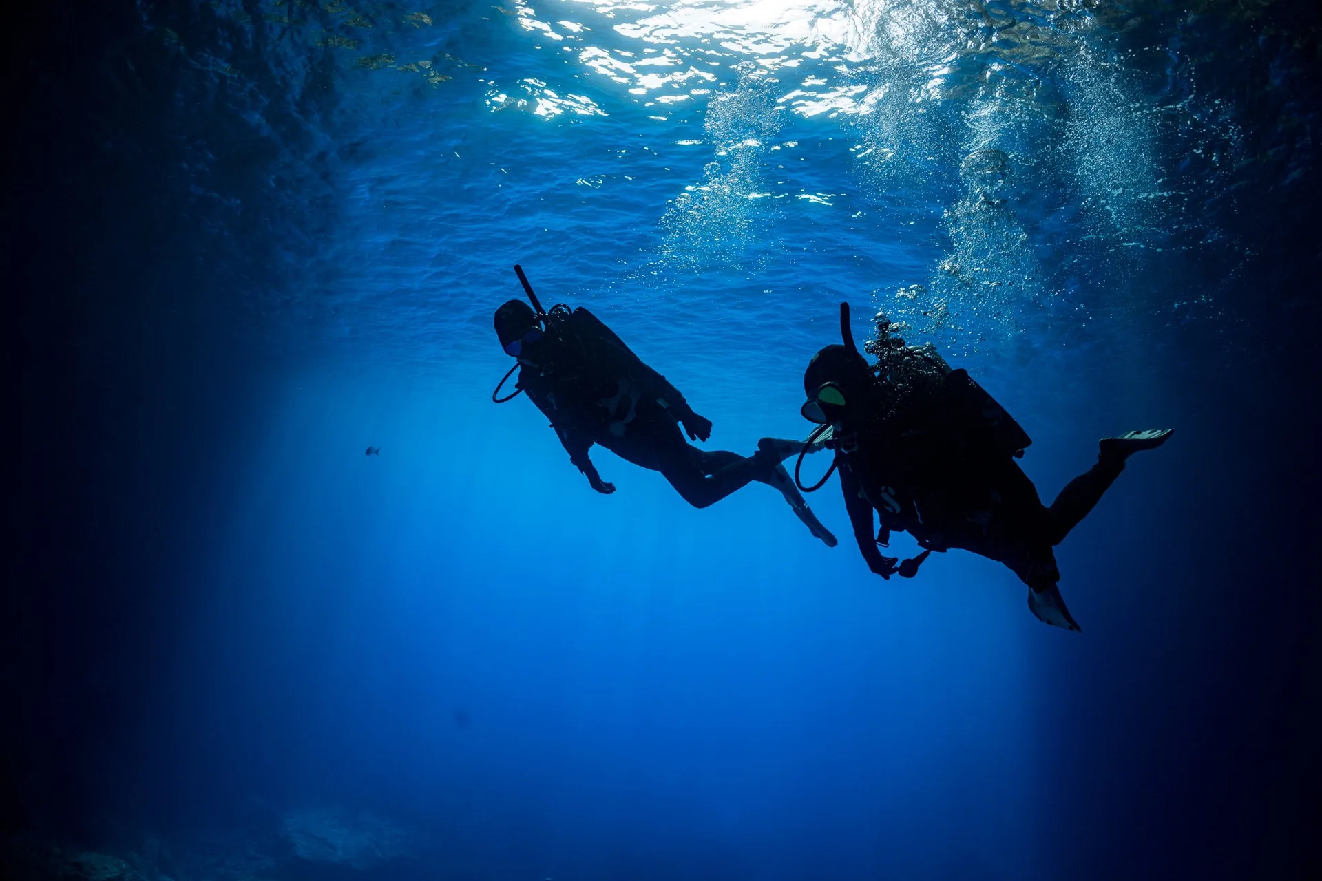 Dos buceadores a contraluz sobre un abismo azul durante un curso profesional de buceo