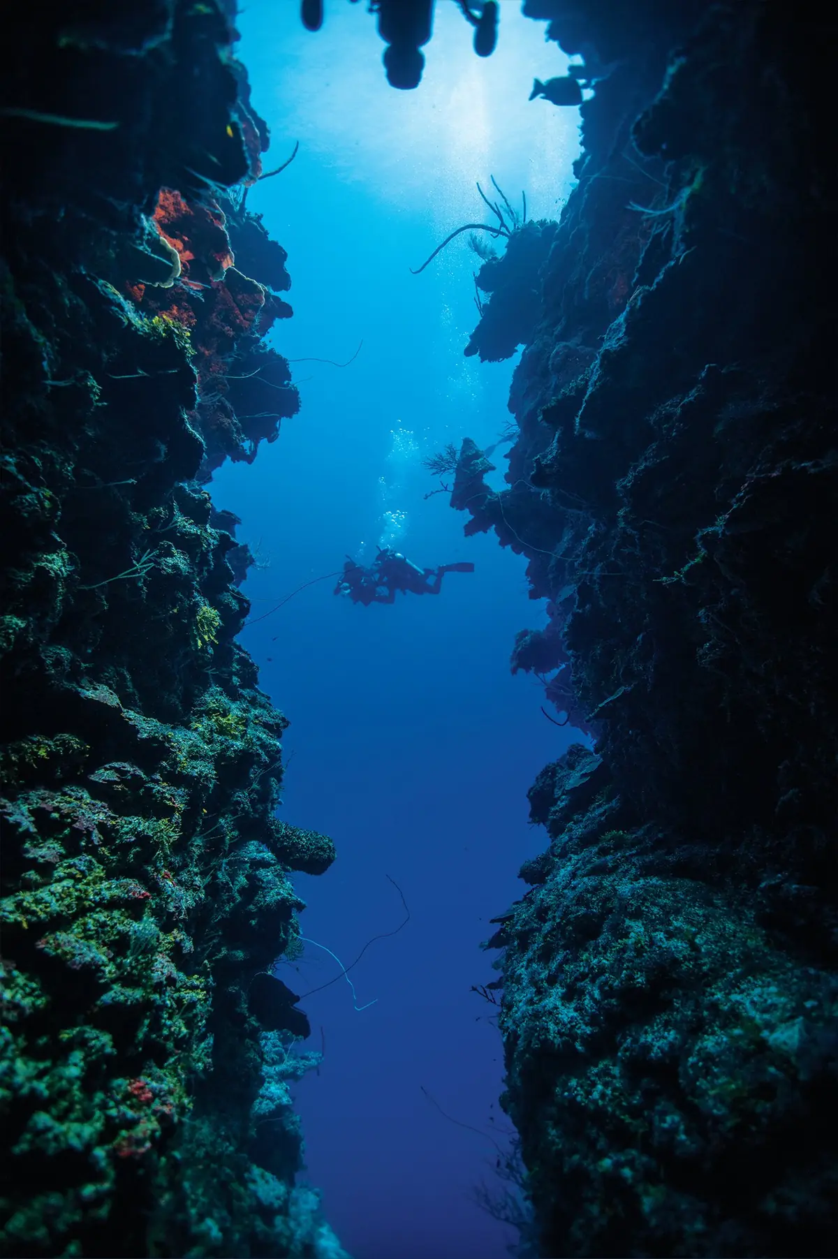 Buceador junto a una pared vertical de roca con coral y luz desde arriba