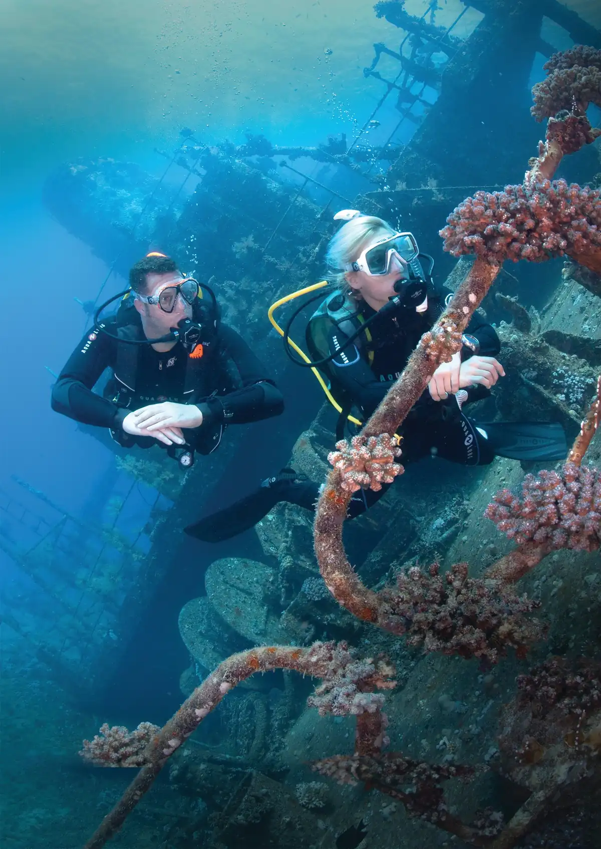 Dos buceadores examinan una estructura cubierta de coral dentro de un pecio
