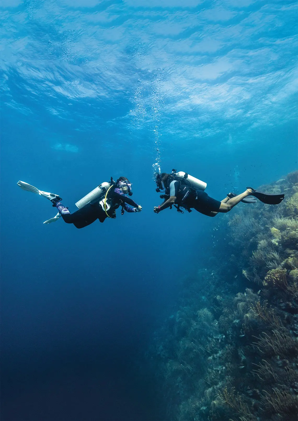 Dos buceadores flotando junto a una pared de coral en agua azul profunda