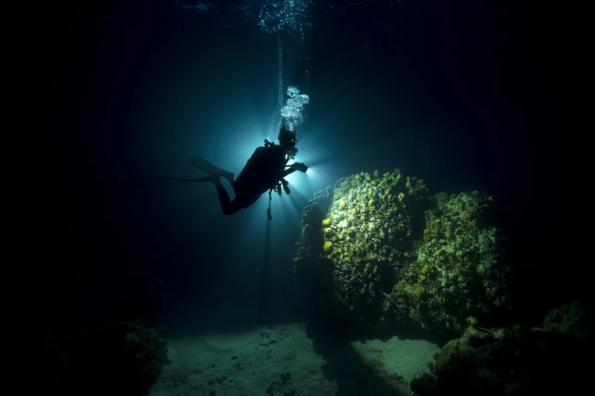 Buceador con linterna en una inmersión nocturna ante un bloque cubierto de coral
