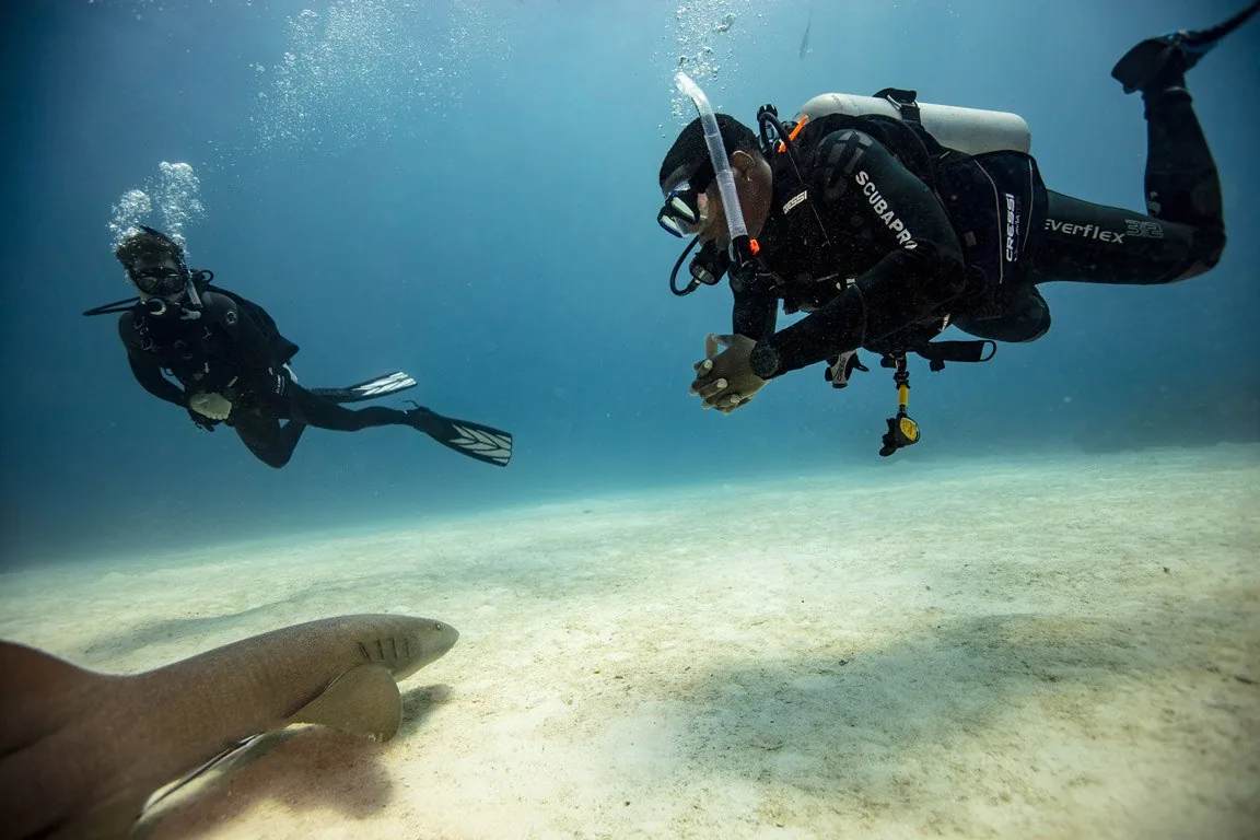 Dos buceadores sobre arena clara, uno de ellos con una cámara para fotografiar